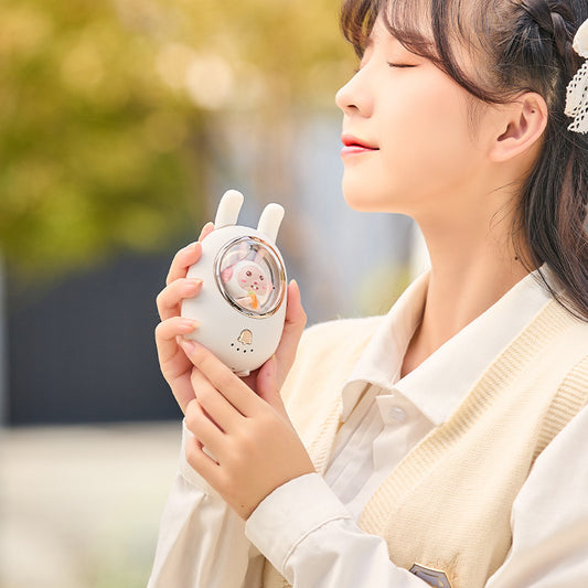 Usb Portable Hand Warmer And Power Bank