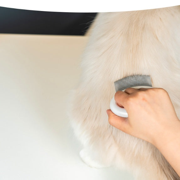Cat Hair Comb To Remove Floating Artifact Brush For Pets