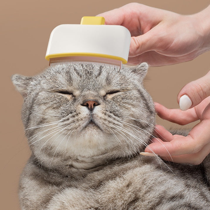 Pet Cat Stainless Steel Needle Comb