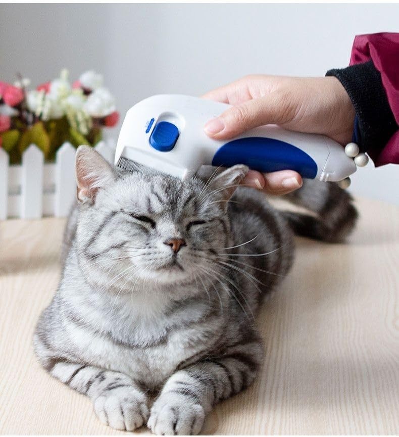 Pet Combs Electric Pet Combs Dog Cat Comb Cat Hair Brush Suitable For Electric Beauty Combs For For Long And Short Hair Cat Dog Puppy Bunny