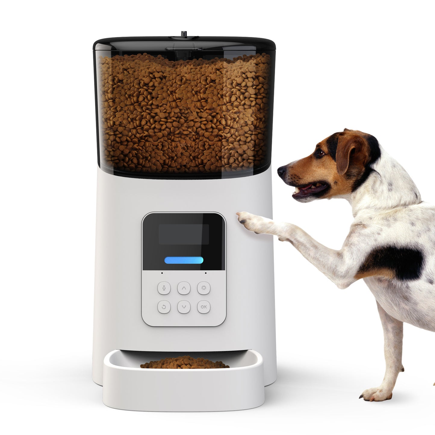 Automatic Pet Feeder Large-capacity Perspective Grain Bucket