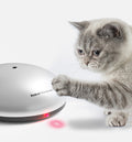 Teasing cat sweeping robot