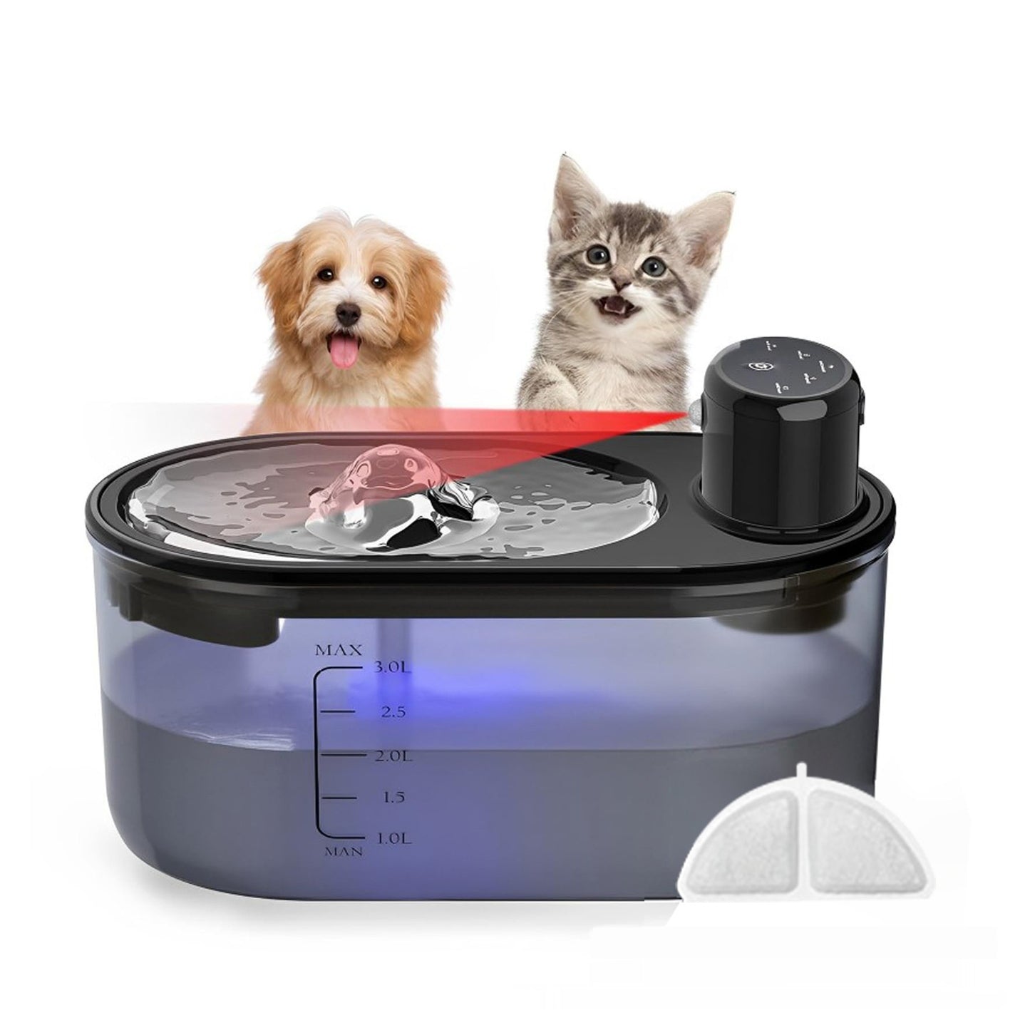 Stainless Steel Plate Pet Timing Flow Induction Function Water Feeder