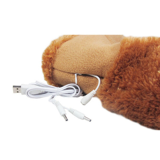 USB heating shoe warmer