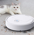 Intelligent Sweeping And Mopping Robot