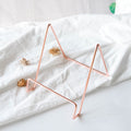 Nordic Ins Simple Creative Plate Book Record Booth Album Ipad Bracket Light Luxury Display Rack