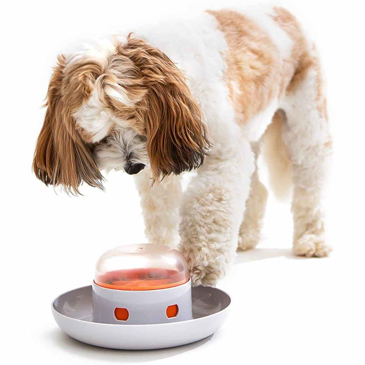 Dog Press Leakage Food Feeder Automatic Pet Feeder