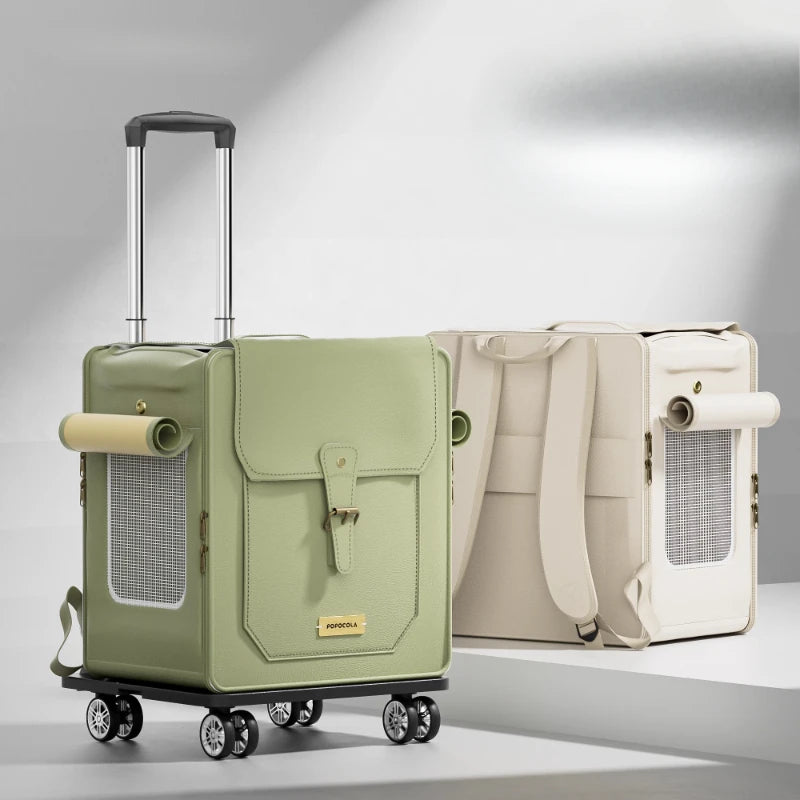 S6b8c980499ca44759b78f27b4f27a63eJ