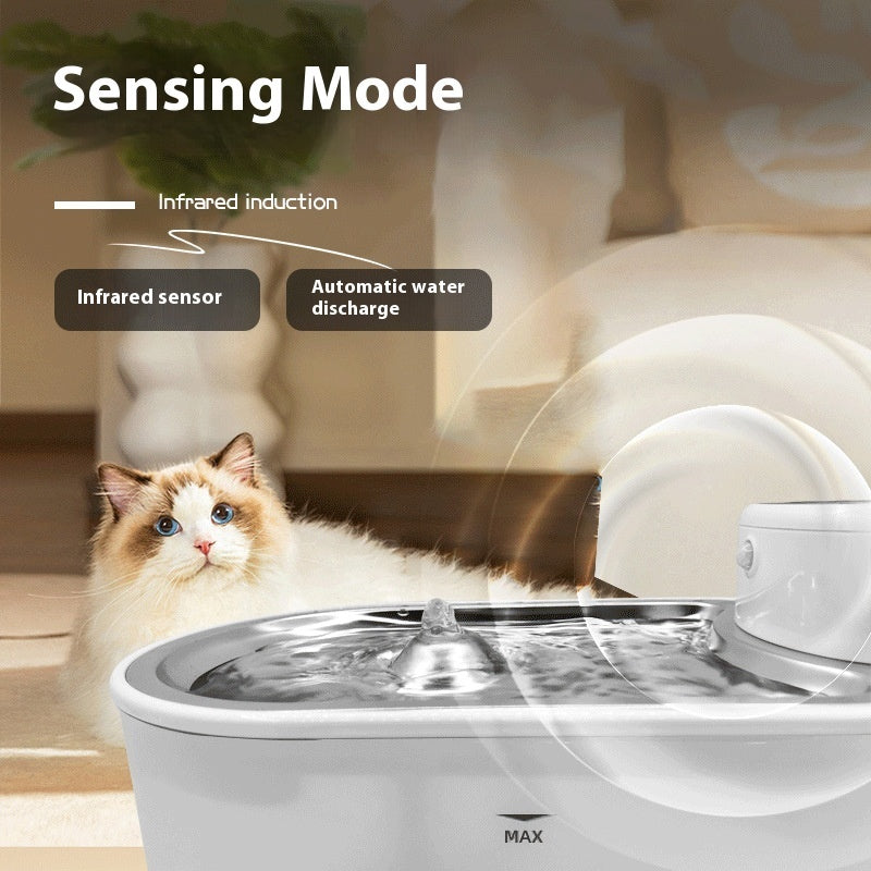 Stainless Steel Plate Pet Timing Flow Induction Function Water Feeder
