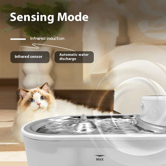 Stainless Steel Plate Pet Timing Flow Induction Function Water Feeder