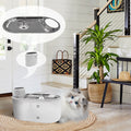Stainless Steel Plate Pet Timing Flow Induction Function Water Feeder