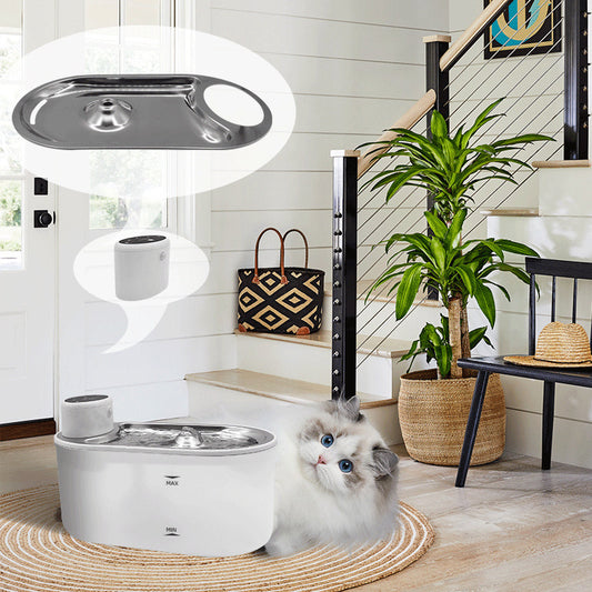 Stainless Steel Plate Pet Timing Flow Induction Function Water Feeder