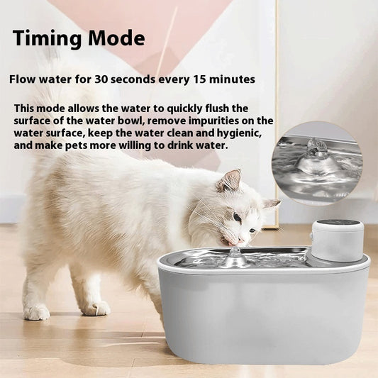 Stainless Steel Plate Pet Timing Flow Induction Function Water Feeder